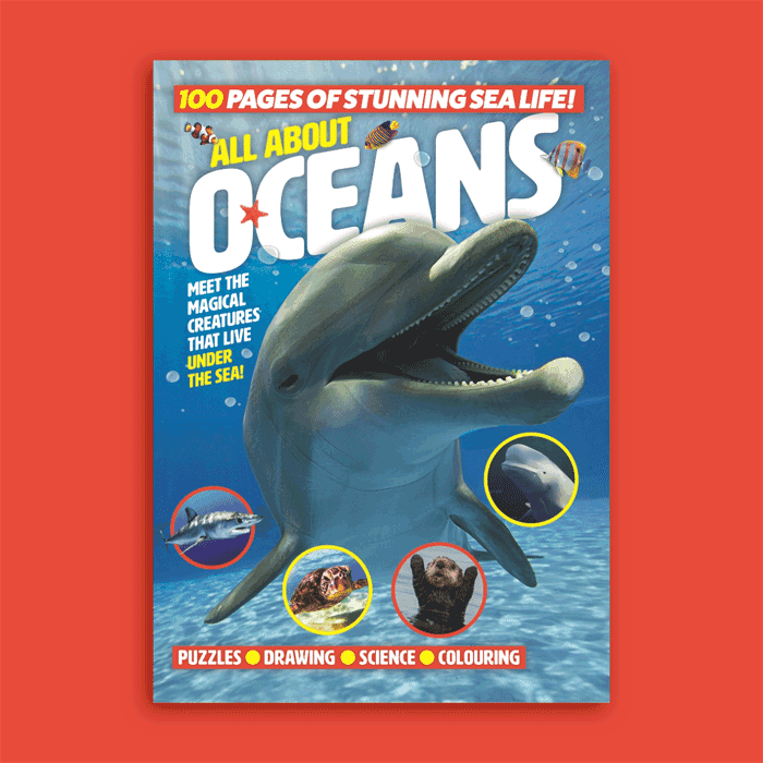 All About Oceans image 0