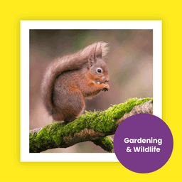 The People's Friend Special Magazine Subscription image 6