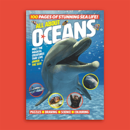 All About Oceans image 0