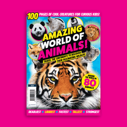 Amazing World of Animals image 0