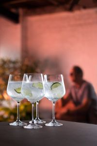 Cheers Copa Gin & Tonic 4 Pack