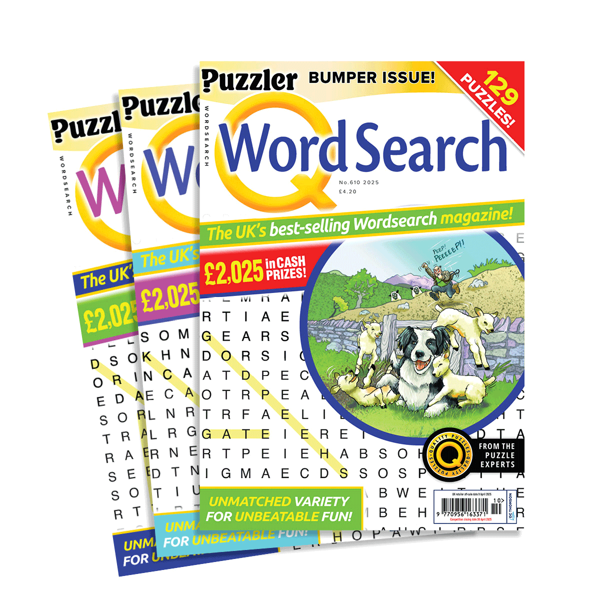 Q Word Search