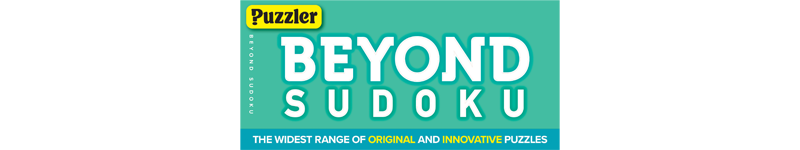 Puzzler Beyond Sudoku