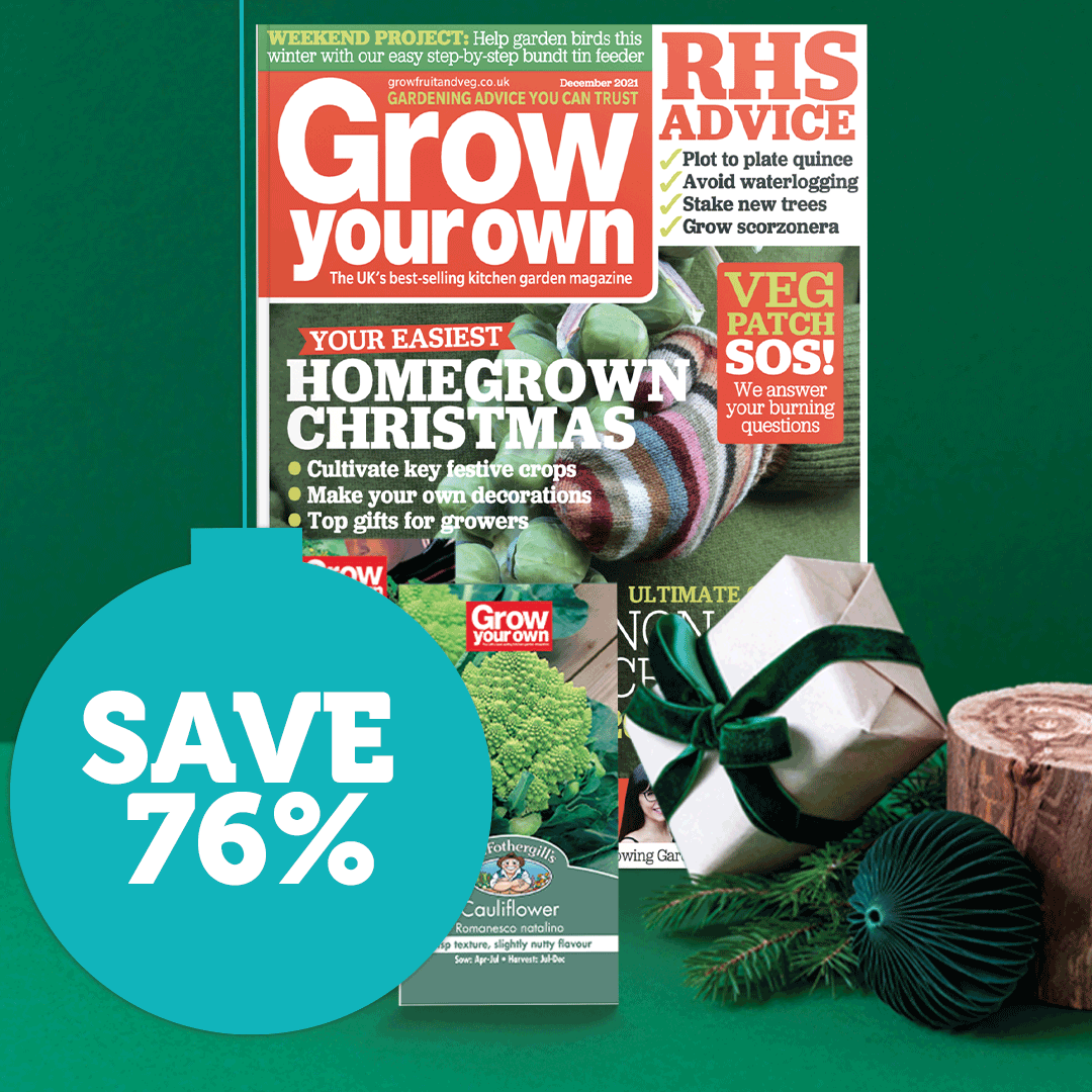 Grow Your Own