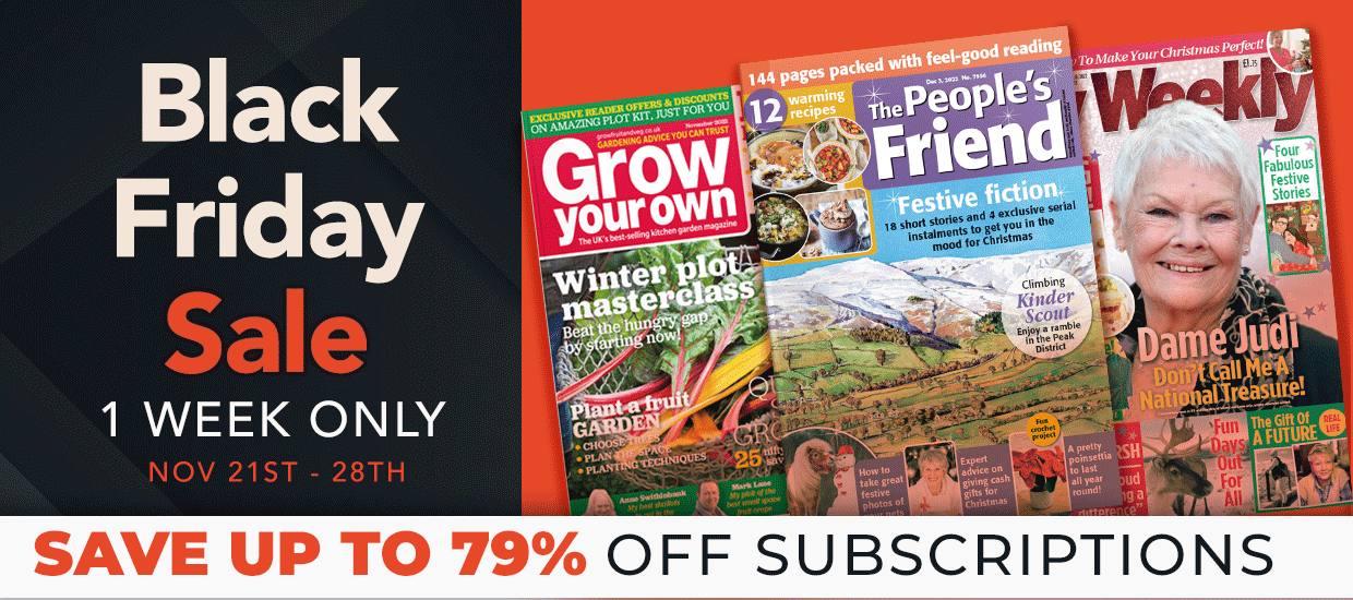 Christmas Magazine Subscriptions